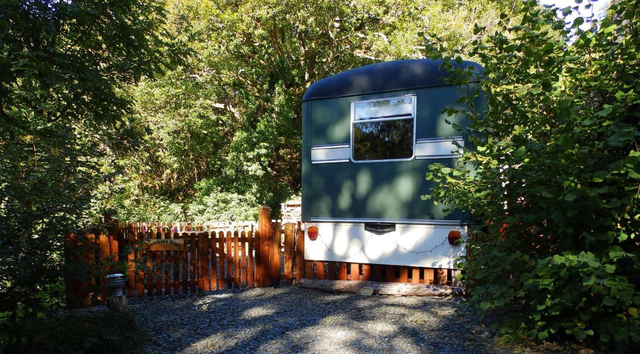 Showman'S Wagon At Coed Cae Dolgellau Exterior photo